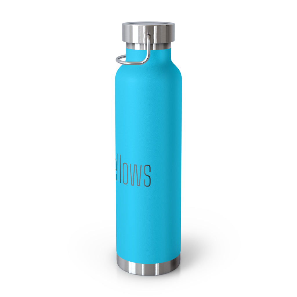 Copy of 22oz Insulated Water Bottle — Passion2Planet Eco Logo