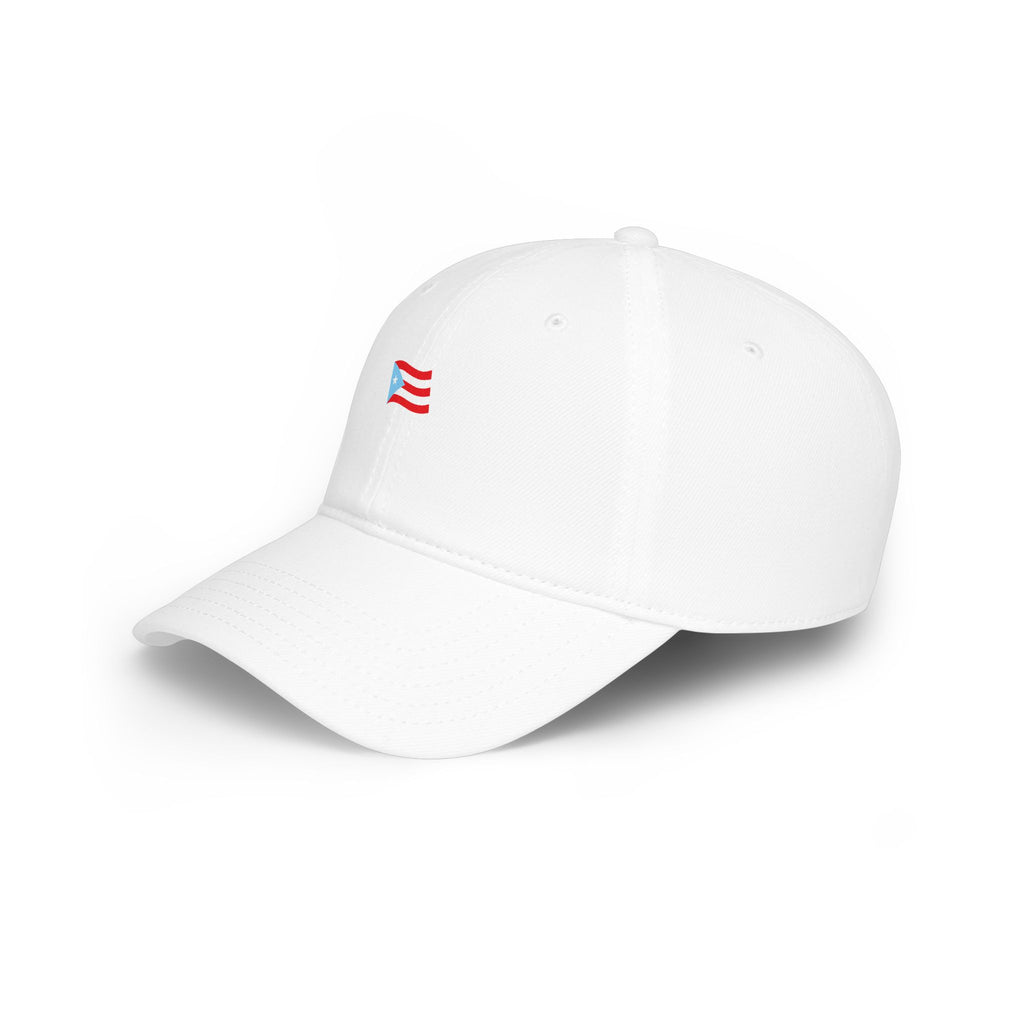 Planting the Flag Embroidered Low-Profile Baseball Cap