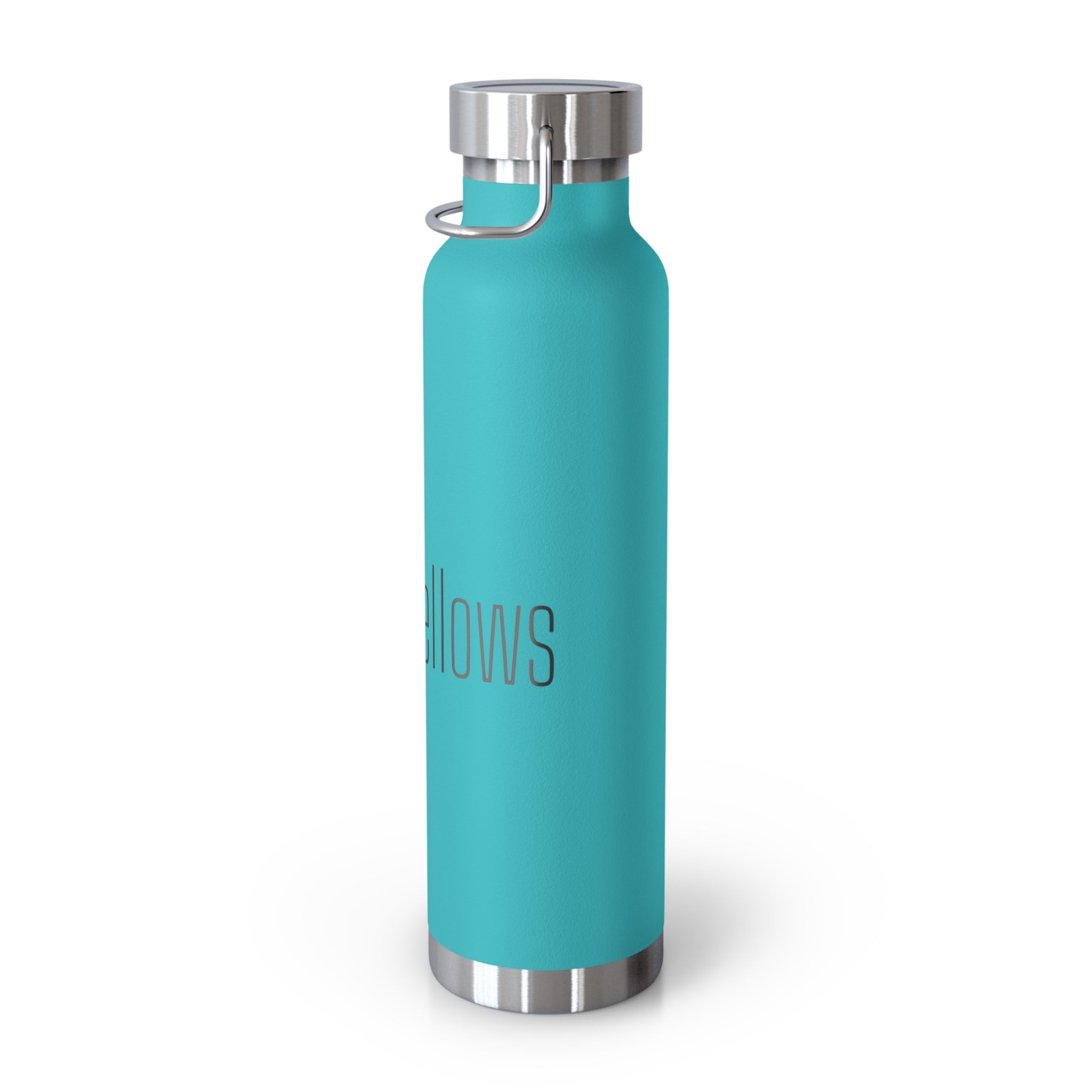 Copy of 22oz Insulated Water Bottle — Passion2Planet Eco Logo